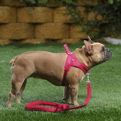 No Pull Dog Harness for Medium Sized Dog, Breathable Mesh Padded
