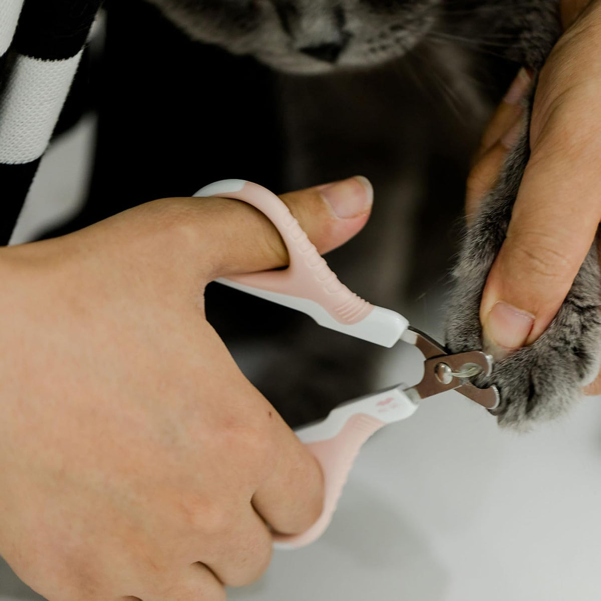 Cat Nail Clipper, Stainless Steel