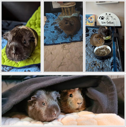 Fleece Pad for Guinea Pig and Rabbit - 23.6 x 19.7 Inches - Perfect Bedding Under Hideout Inside Indoor Cages and C&C - Absorbent Waterproof Comfortable - Easy to Clean - Pink