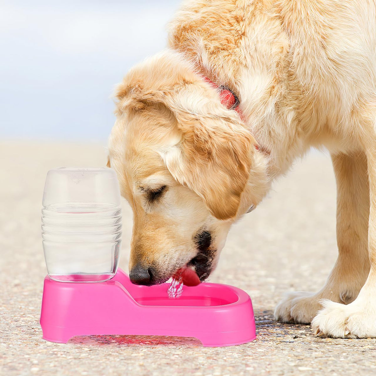 Pet Water Feeder Bowl Automatic Drinking Water Dispenser for Small Dogs and Puppies 7.48X5.90X4.33In Durable Eco-Friendly Design for Home and Pet Shops