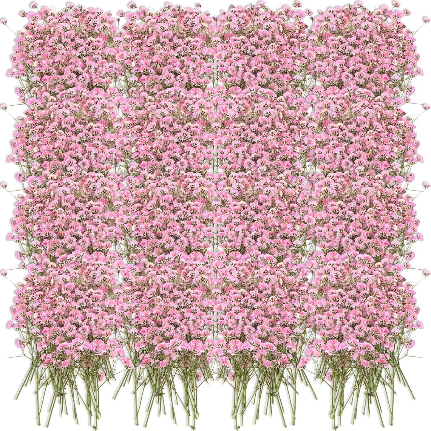 100 Pcs Dried Babys Breath Flowers Bulk Babys Breath Real Pressed Flowers Natural Gypsophila for Resin Wedding Art Craft Baby Shower DIY Invitations Scrapbooking Card Making(Pink)