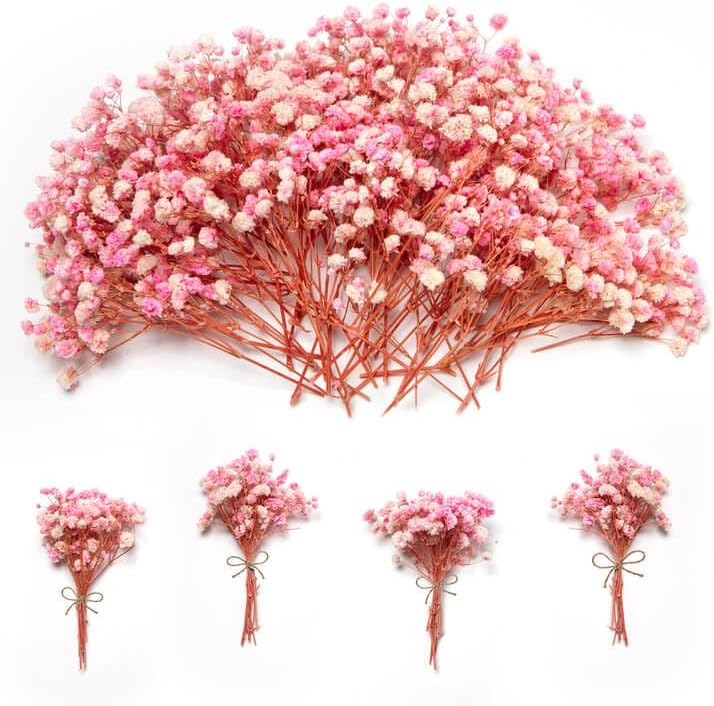 3500+ Mini Pink Dried Baby Breath Flowers, 70pcs Gypsophila Bouquet for DIY
