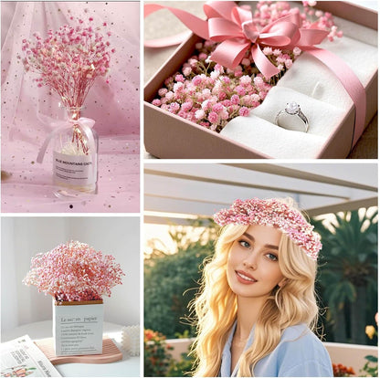 3500+ Mini Pink Dried Baby Breath Flowers, 70pcs Gypsophila Bouquet for DIY