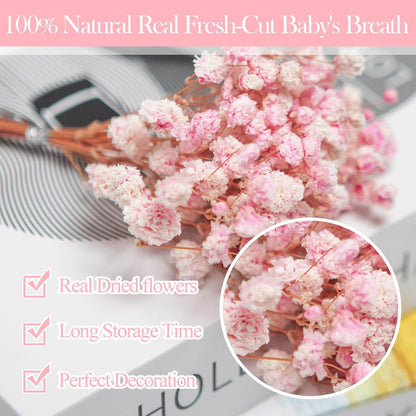3500+ Mini Pink Dried Baby Breath Flowers, 70pcs Gypsophila Bouquet for DIY