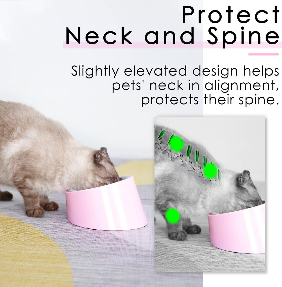 Anti-Vomiting 15° Slanted Pet Bowl, S/0.5 Cup, Pink