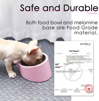 Anti-Vomiting 15° Slanted Pet Bowl, S/0.5 Cup, Pink