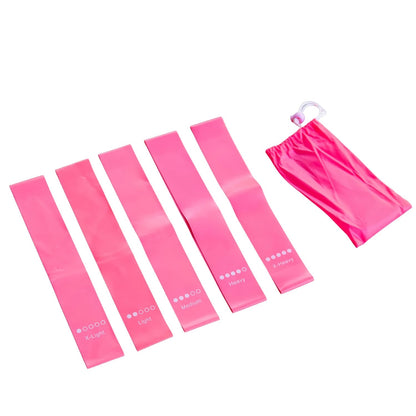 Peak Performance Resistance Loop Exercise Bands with Workout Videos. 5 PCs Latex Exercise Bands. 5 Bands All Pink Elastic Bands with Pink Carrying Bag.Includes Video demonstrations
