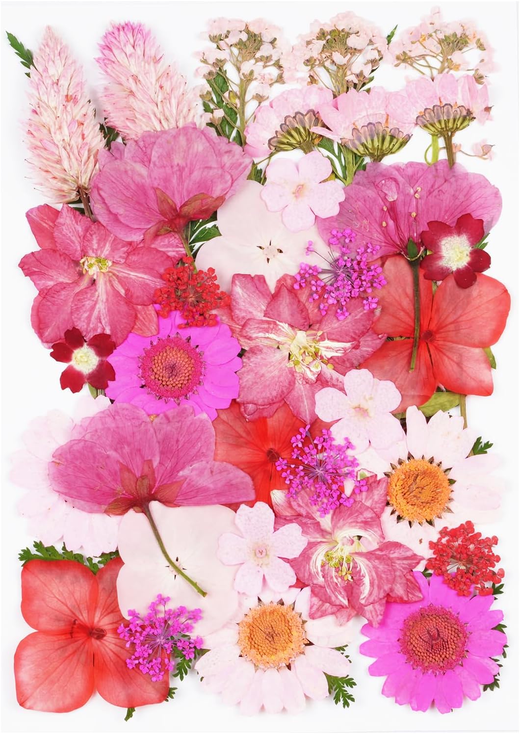 40Pcs Pink Dried Pressed Flowers for Crafts, Dry Flowers Kit for Resin Molds,Epoxy Resin Accessories,Bookmark,Nails, Jewelry Molds,Candle Making Supplies,Soap,Frame,Cakes