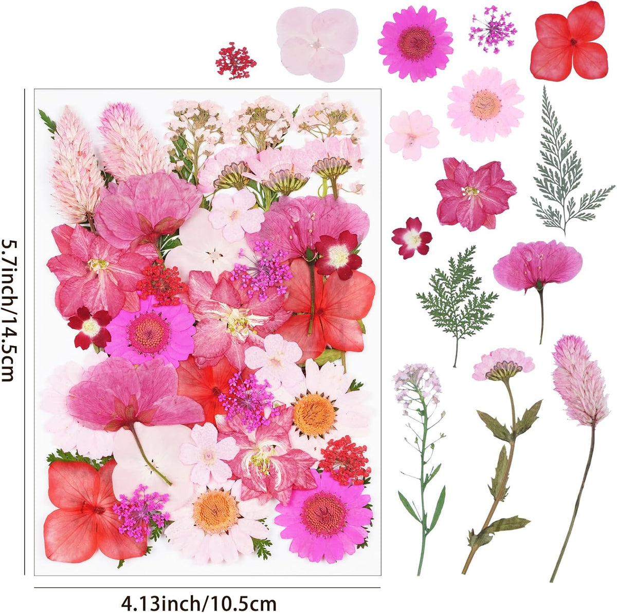 40Pcs Pink Dried Pressed Flowers for Crafts, Dry Flowers Kit for Resin Molds,Epoxy Resin Accessories,Bookmark,Nails, Jewelry Molds,Candle Making Supplies,Soap,Frame,Cakes