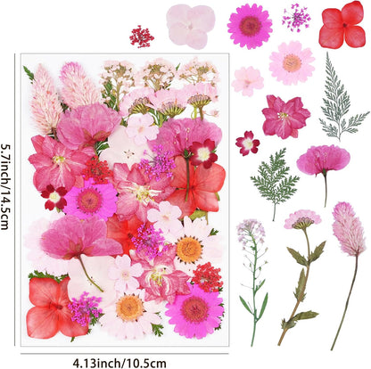 40Pcs Pink Dried Pressed Flowers for Crafts, Dry Flowers Kit for Resin Molds,Epoxy Resin Accessories,Bookmark,Nails, Jewelry Molds,Candle Making Supplies,Soap,Frame,Cakes