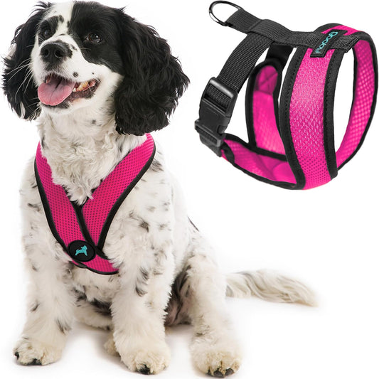 Comfort X Head-in Dog Harness, Choke-Free, Flamingo Pink, X-Large