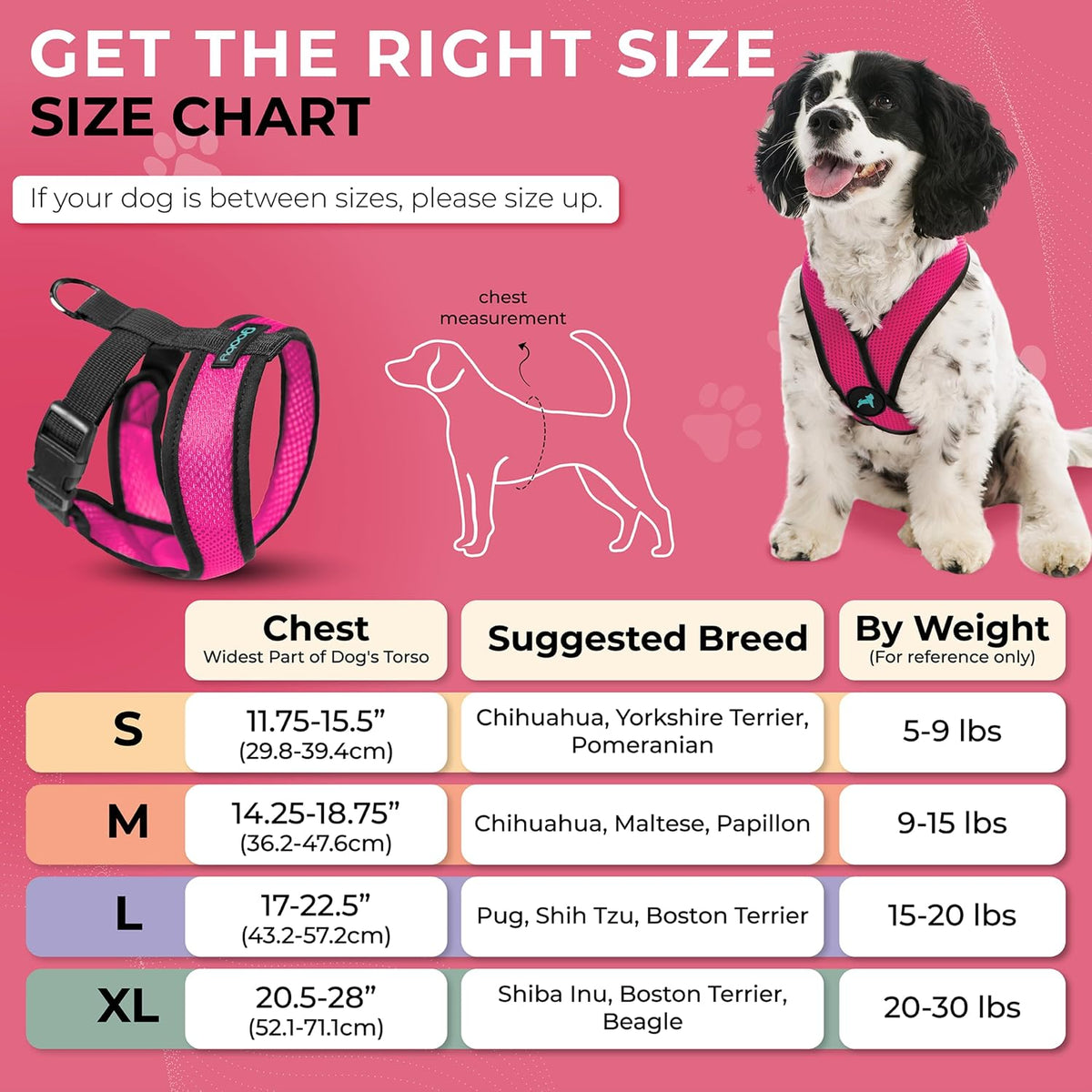 Comfort X Head-in Dog Harness, Choke-Free, Flamingo Pink, X-Large