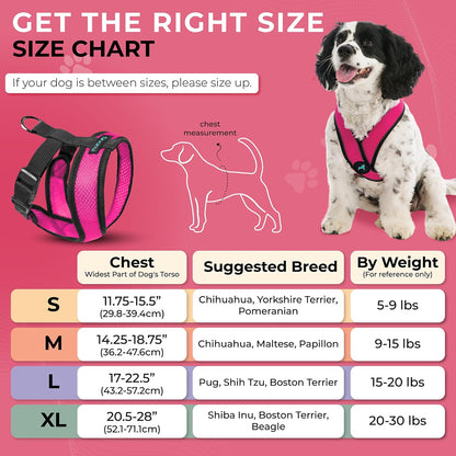 Comfort X Head-in Dog Harness, Choke-Free, Flamingo Pink, X-Large