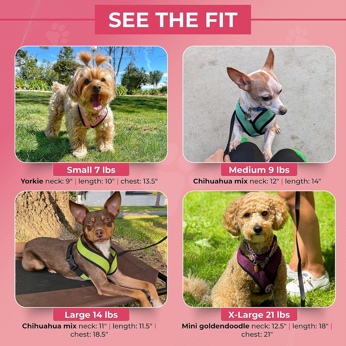 Comfort X Head-in Dog Harness, Choke-Free, Flamingo Pink, X-Large