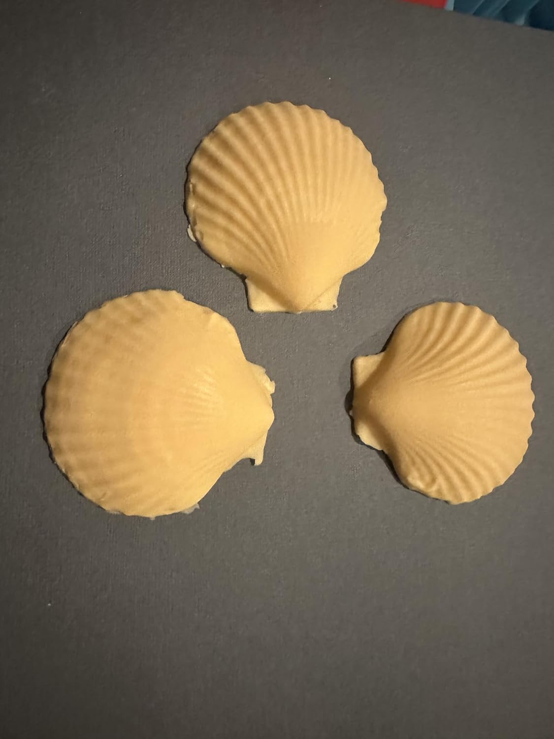 Decorative Sea Shell Soaps, Peach Mango Scented, Orange, Set of 3
