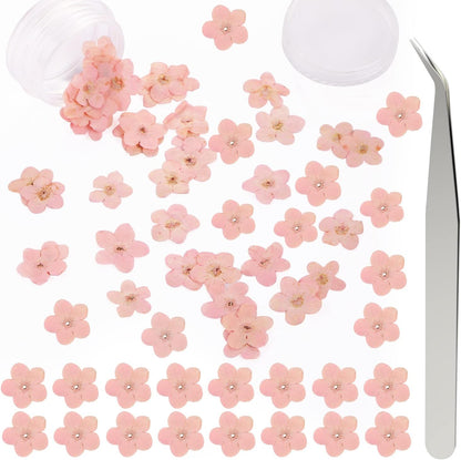 50Pcs Forget Me Not Dried Flowers Don't Forget Me Dried Flowers Natural Dried Pressed Flowers with Forceps for Resin Jewelry Making Candle Nail Art Flower Ornaments Paper Making Supplies, Pink