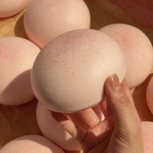 Cheese Slow Rising Squishy Toy, Soft Foam Stress Relief Squeeze, Sticky Food Squishies, Bread and Butter Squishy Style for Desk Decor or Gift (Pink)