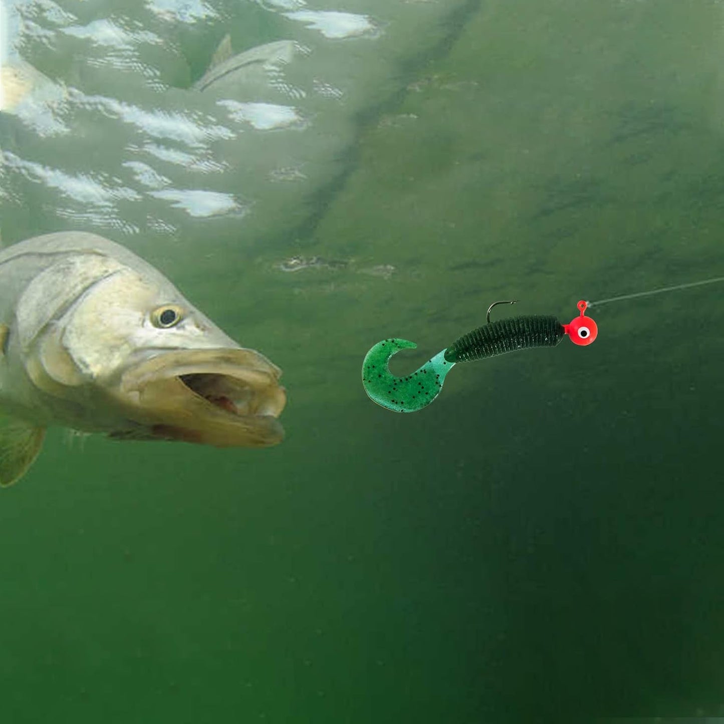 Dr.Fish 20 Pack Fishing Jig Heads, Crappie Jig Round Ball Head Freshwater Fishing Hooks Bass Trout Panfish Walleye Bluegill Saltwater