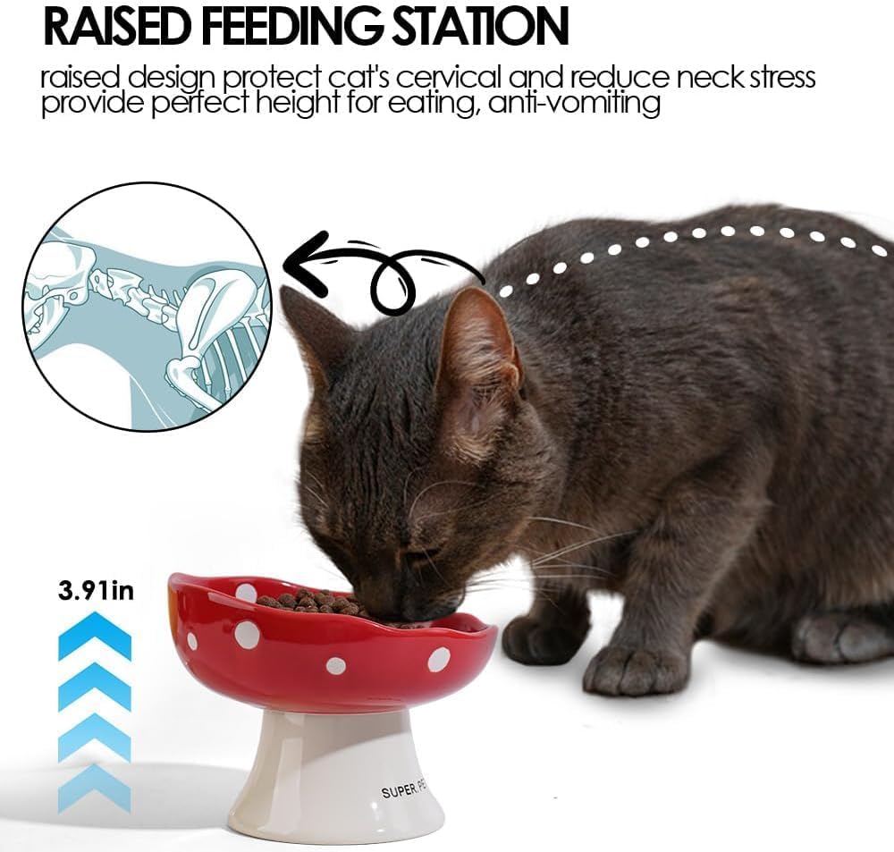 Pink Mushroom Cat Bowl, Elevated Ceramic Feeding Bowl | Elevated, Ceramic, Tilted Design, Whisker-Friendly, Dishwasher Safe, cute