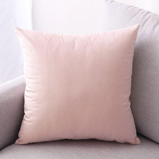 Hibate 2 Pack Soft Velvet Couch Throw Pillow Covers 20x20 Inch for Sofa Living Room Bedroom (Pink)
