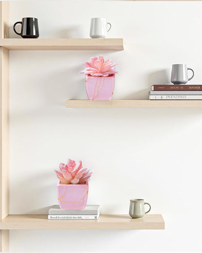 Taybonds Artificial Succulent in 2PCS Pink Ceramic Pot, Small Fake Succulents Plants for Office and Desk Decor,Bathroom
