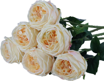 Artificial Roses, 6 Pieces Premium Austin Rose Bouquet, Realistic Touch Peony Rose Flowers for Wedding and Home Decor（Champagne Rose