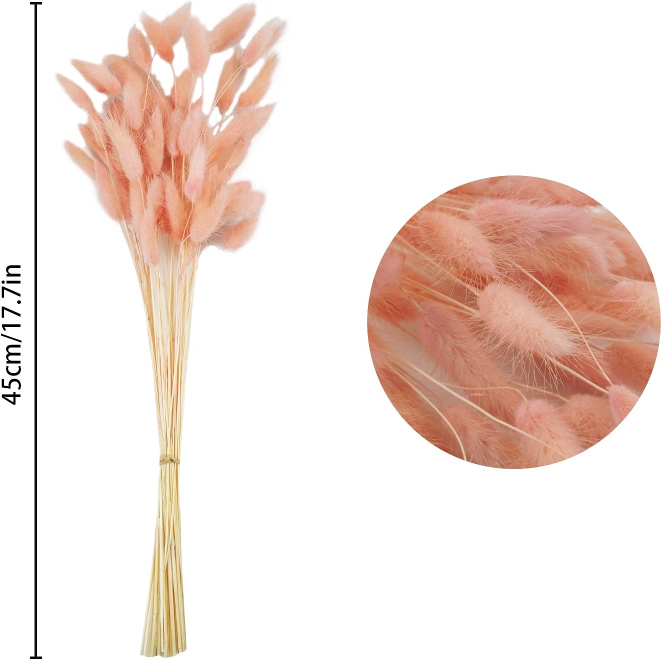 Uieke 17’’ Natural Bunny Tails Dried Flowers, 120 Pcs Dried Lagurus Ovatus, Dried Pink Pampas Grass Decor for Farmhouse Flower Arrangements Wedding Home Boho Party Decorations
