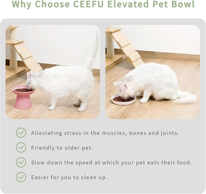 CEEFU 2 Elevated Cat Bowls Extra Wide for Food & Water – Whisker Fatigue, Ceramic Wide Shallow Food Dish, Lead & Cadmium Free, Raised Height for Cats, Pink