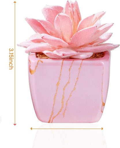 Taybonds Artificial Succulent in 2PCS Pink Ceramic Pot, Small Fake Succulents Plants for Office and Desk Decor,Bathroom