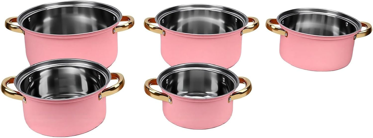 Cookware Set Stainless Steel, 5 Piece Pot Set with Glass Lids Ranging 16cm to 24cm for Boiling Simmering Frying, Dual Handle Easy Grip (Pink)
