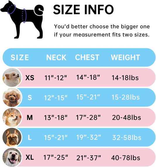 IVY&LANE No Pull Dog Harness for Medium Dogs, Dog Vest Harness with Leash, Safety Belt and Storage Strap, Fully Adjustable Harness, 360° Reflective Strip, Soft Handle (Pink, M)