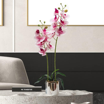 CXGS Artificial Orchid Flowers Light Pink Faux Orchids with Ceramic Vase Vivid Fake Phalaenopsis Flower Arrangement Gorgeous Artificial Plants for Wedding Party Exhibition Center Home Decor