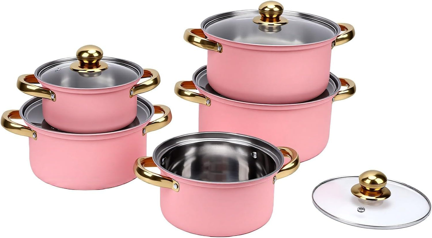 Cookware Set Stainless Steel, 5 Piece Pot Set with Glass Lids Ranging 16cm to 24cm for Boiling Simmering Frying, Dual Handle Easy Grip (Pink)