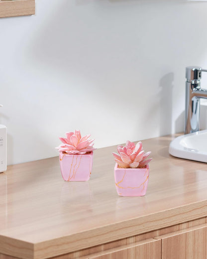 Taybonds Artificial Succulent in 2PCS Pink Ceramic Pot, Small Fake Succulents Plants for Office and Desk Decor,Bathroom