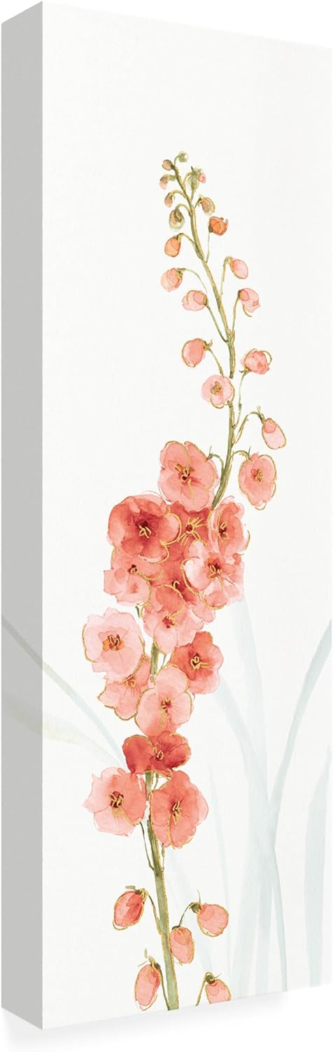 Wrapped Canvas Wall Art - Lisa Audit 'Rainbow Seeds Flowers VII Coral' Wall Art for Living Room, Bedroom, or Office Décor - 8x24
