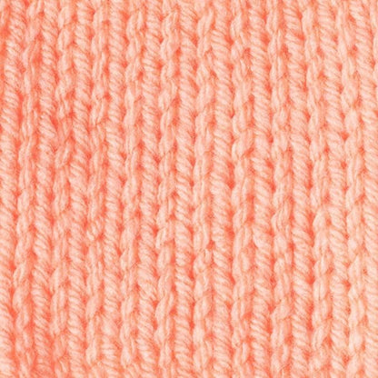 Caron One Pound Peach Yarn - 2 Pack of 454g/16oz - Acrylic - 4 Medium (Worsted) - 812 Yards - Knitting/Crochet
