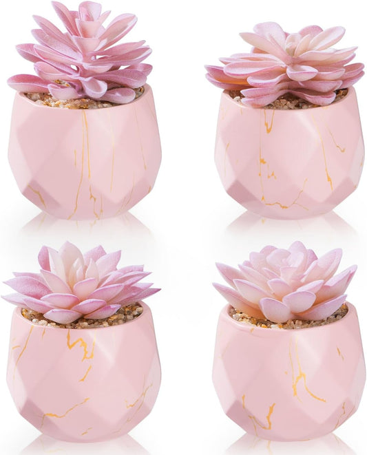 ZENIDA Artificial Succulent Plants in 4 Pink Ceramic Pots, Cute Fake Plants for Vanity Decor, Office, Desk, Bathroom, Kitchen, Bedroom, Shelves Decor for Women, Girls Gift
