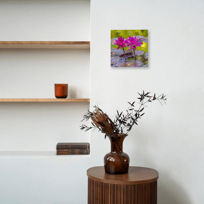 3dRose, Pink Nymphaea, Botanic Garden, Coral Gables, Florida., 10x10 Wall Clock