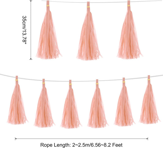 MECCANIXITY 15Pcs Peach Pink Tassel Garland Banner with Rope Tissue Paper Tassels Party DIY Kits for Anniversary Wedding Birthday Party