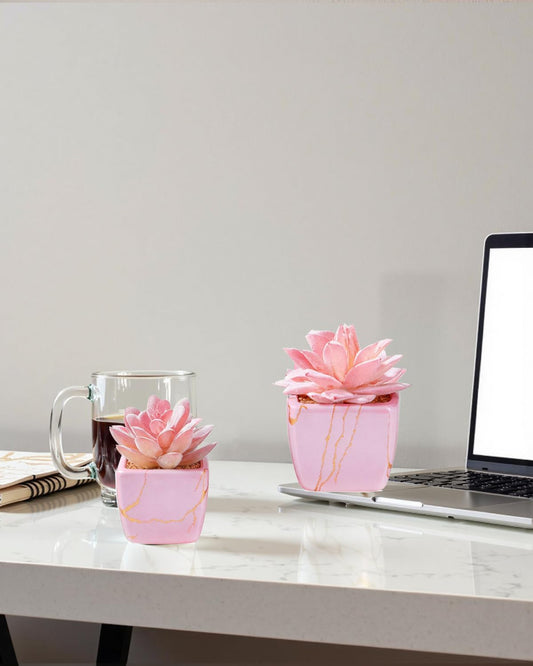 Taybonds Artificial Succulent in 2PCS Pink Ceramic Pot, Small Fake Succulents Plants for Office and Desk Decor,Bathroom