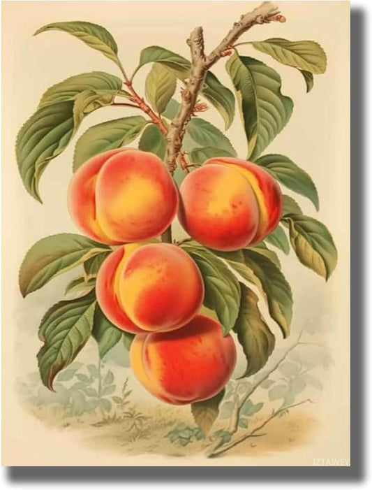 Poster Wall Art Picture Vintage Wild Peach Print Cottagecore Peach Painting Living Room and Bedroom Office Decoration 12x16inch Without Frame