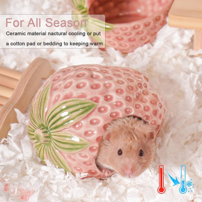 Ceramic Hamster Hideout, Strawberry Hamster House and Habitat, Syrian Hamster Hideout Decor Cool Bed for All Season Gerbil, Mice Guinea Pig