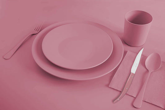 Arcos Table Knives - Steak Knives Set 4 pieces - Blade Nitrum Stainless Steel 4" / 110 mm - Smooth Edge - Polypropylene Handle - Pink Color