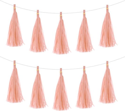 MECCANIXITY 15Pcs Peach Pink Tassel Garland Banner with Rope Tissue Paper Tassels Party DIY Kits for Anniversary Wedding Birthday Party