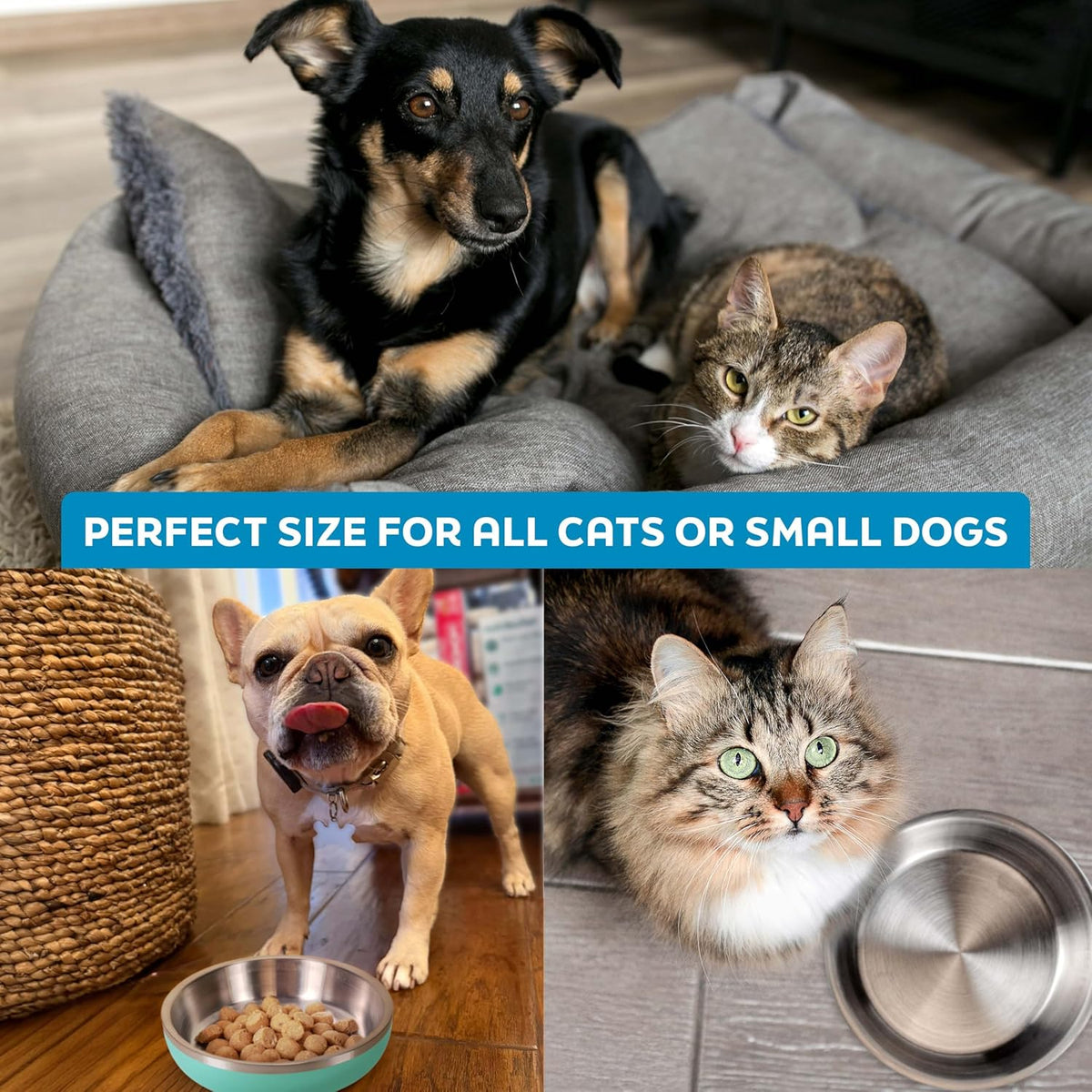 Stainless Steel Cat Bowls 9 oz Heavy Duty Hyper Pink