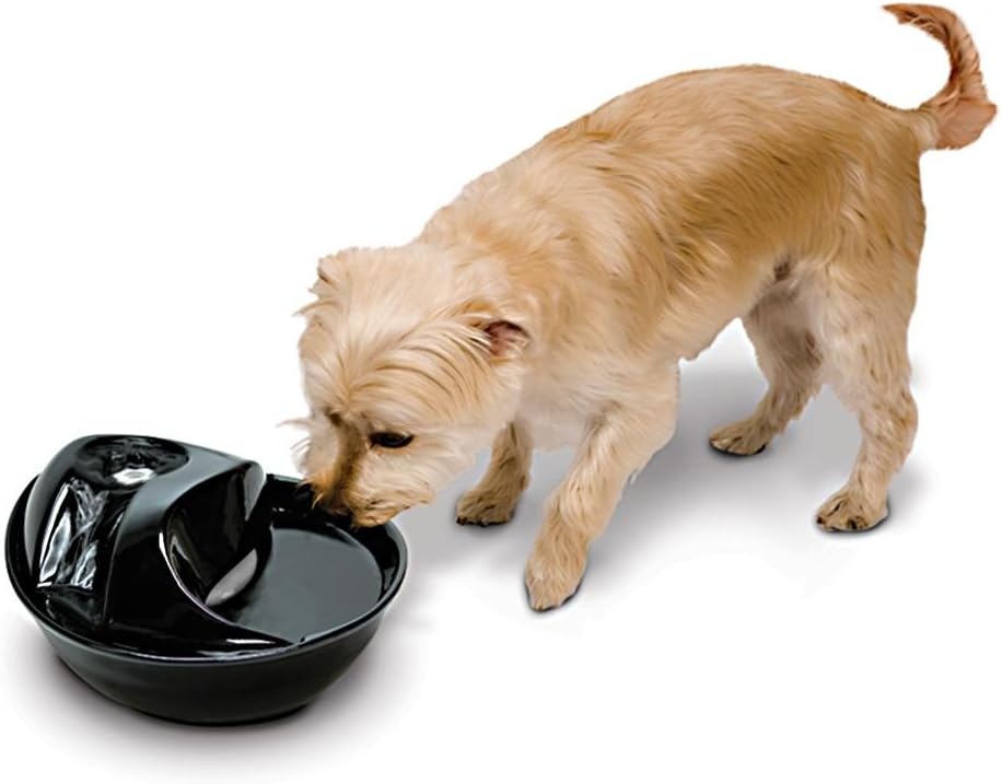 Pioneer Pet Raindrop Fountain, Pet Drinking Fountains (60 oz., Black Ceramic)