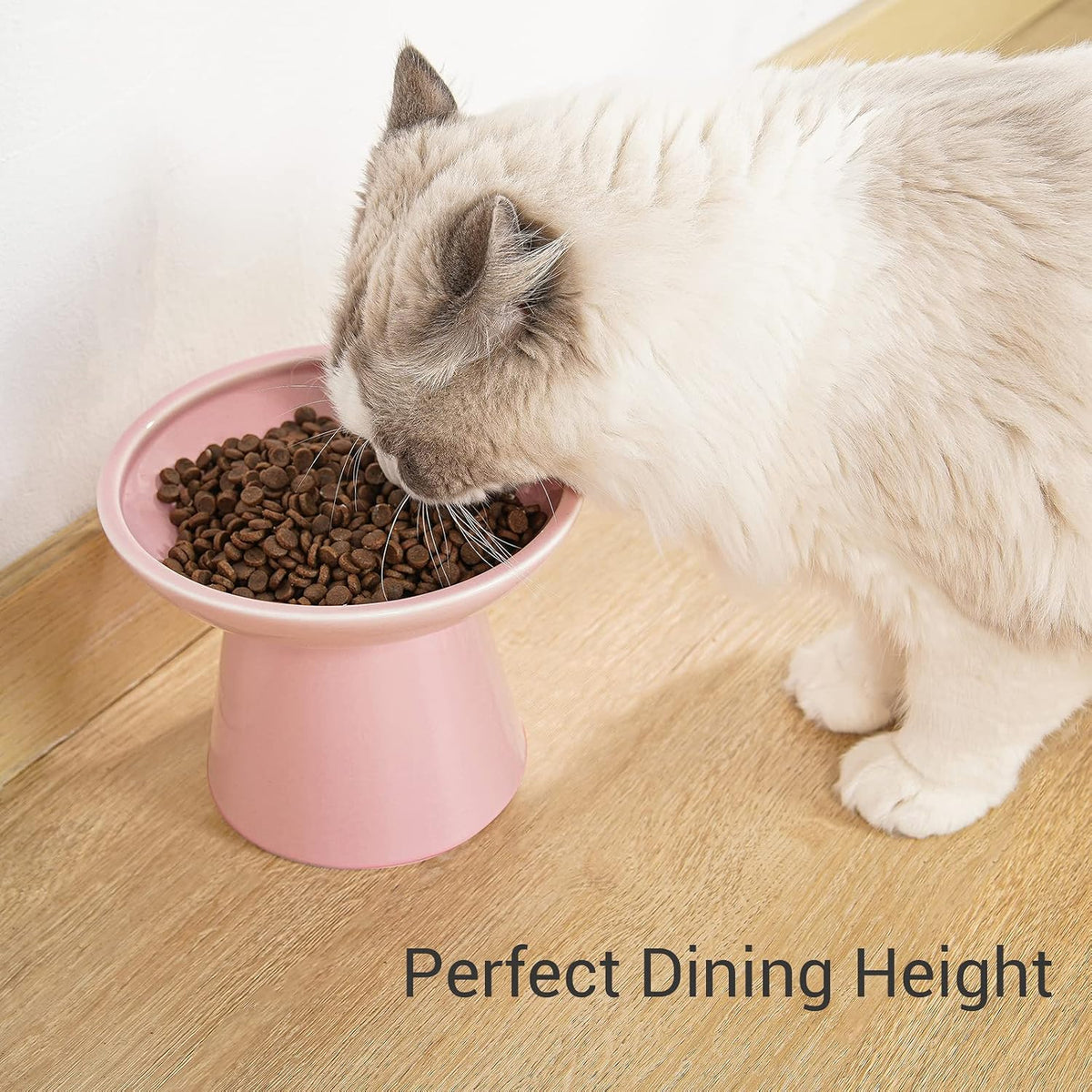 Extra Wide Elevated Ceramic 6.2" Shallow Cat Food Bowl