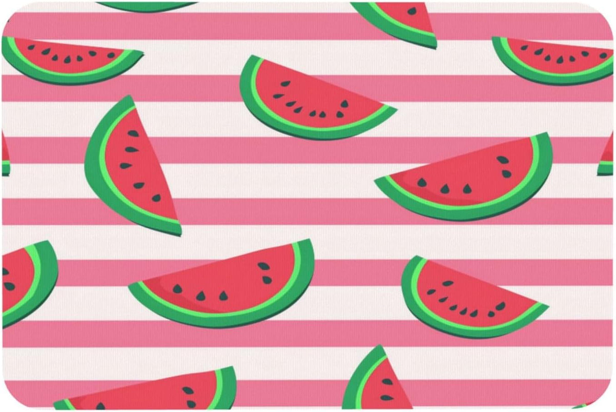 Pink Watermelon Stripes Print Absorbent Bath Mat Non Slip Washable Doormat 15.7x23.6 in Quick Dry Shower Mat Thin Floor Rug for Bathroom Kitchen Entryway