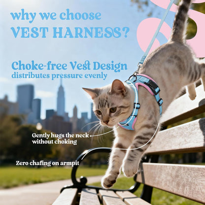 Cat Harness and Leash Set, Escape Proof Vest, Light Blue & Pink