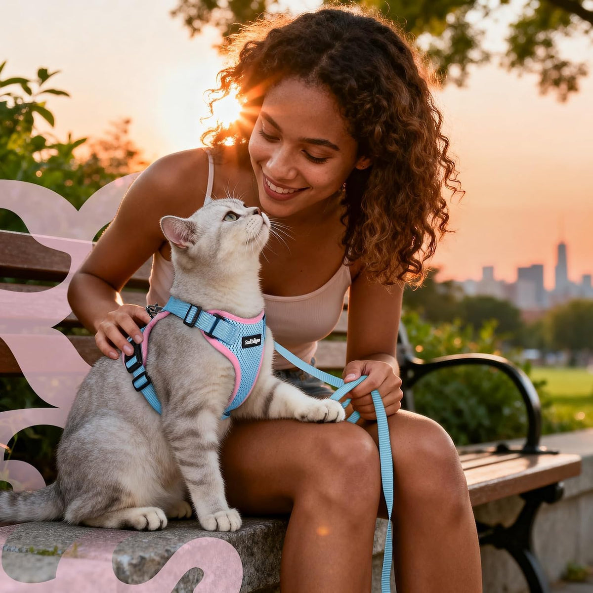 Cat Harness and Leash Set, Escape Proof Vest, Light Blue & Pink